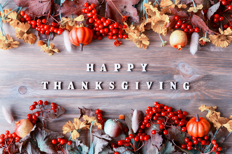 Happy Thanksgiving From The Team At Bartec TPMS